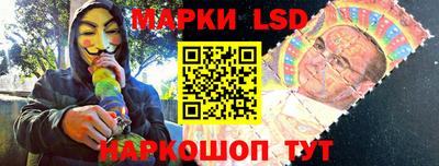 индика Усть-Илимск