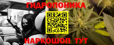 индика Усть-Илимск