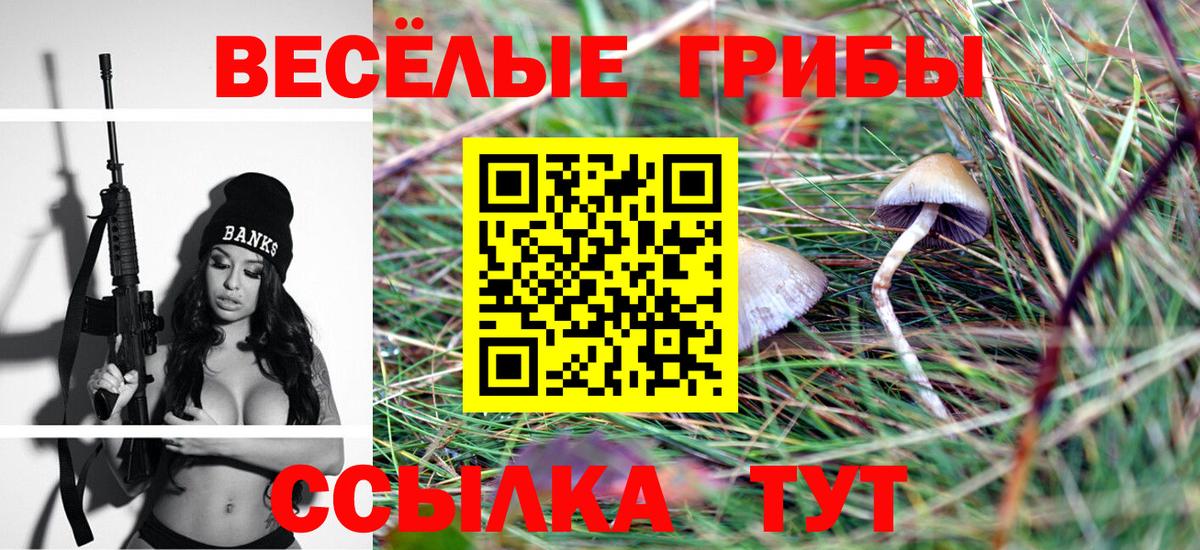 Псилоцибиновые грибы мицелий  Вход с VPN  Сызрань 