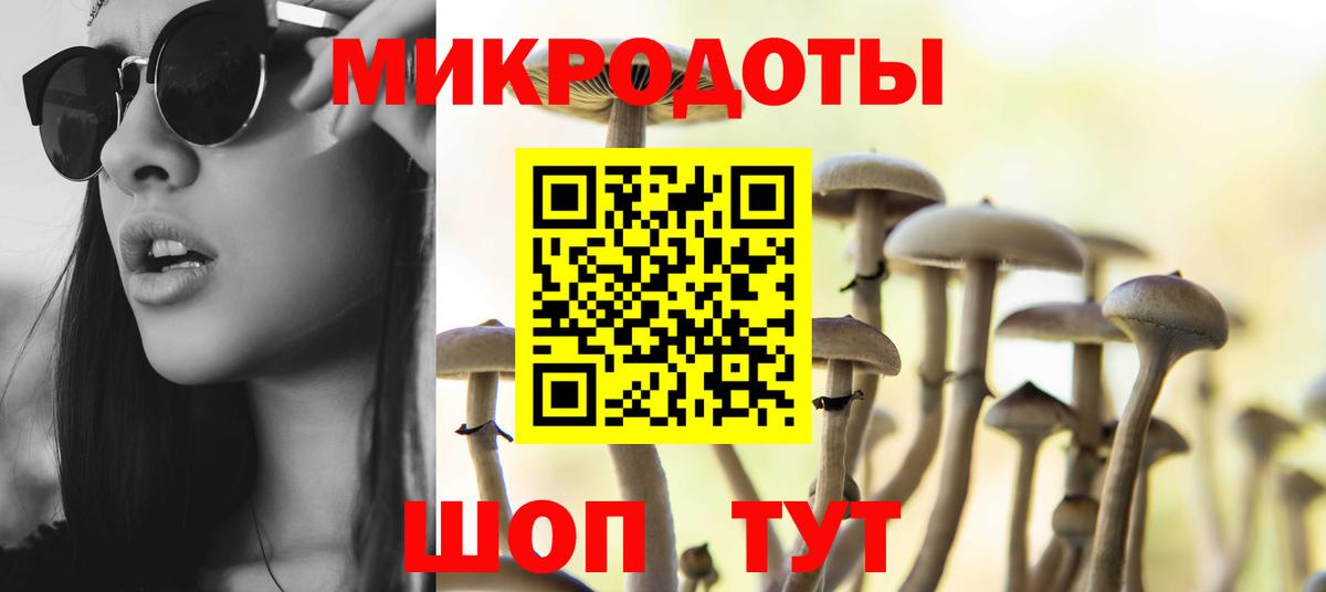 Галлюциногенные грибы Cubensis Сызрань